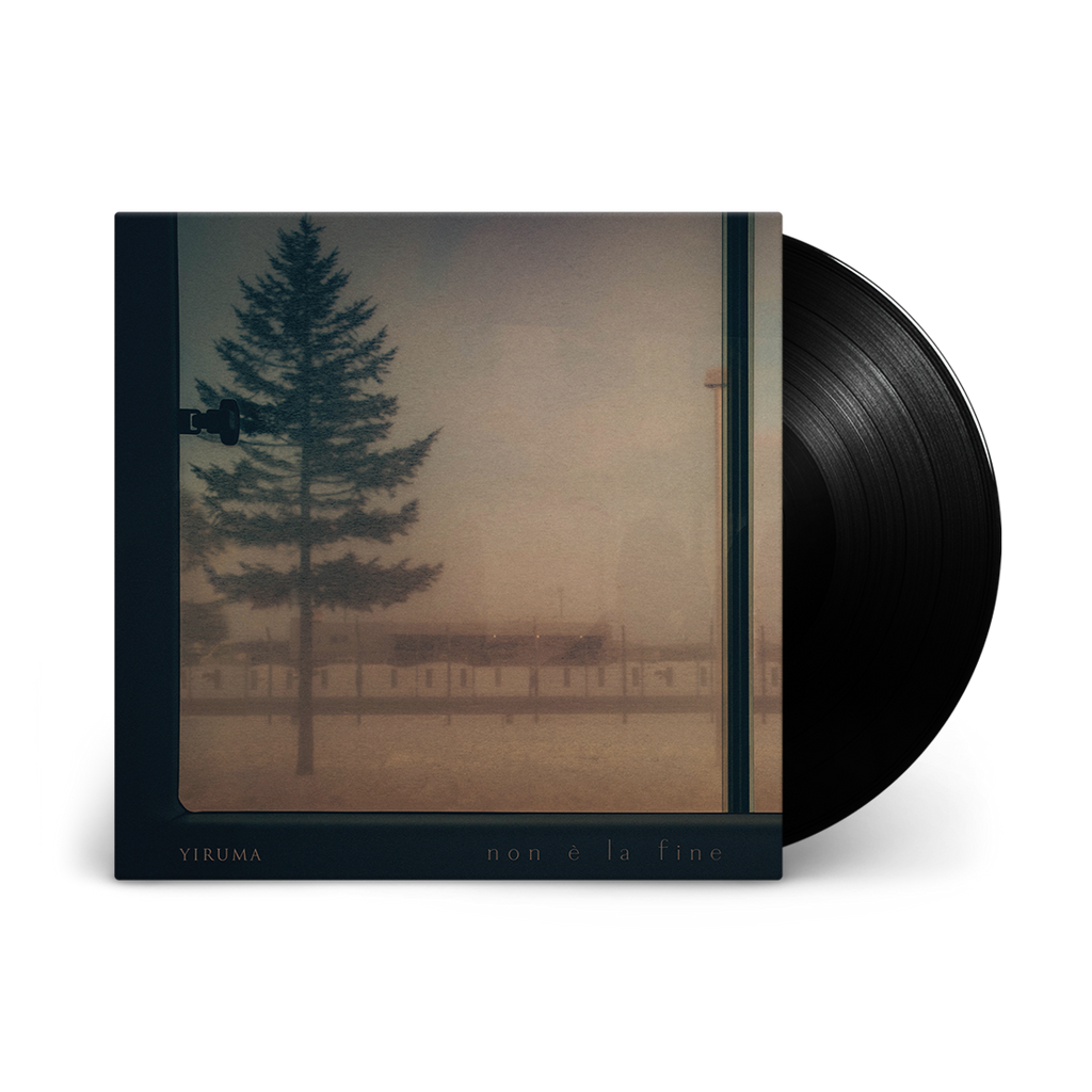 Non è la fine : Vinyl LP