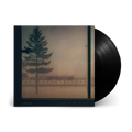 Non è la fine : Vinyl LP