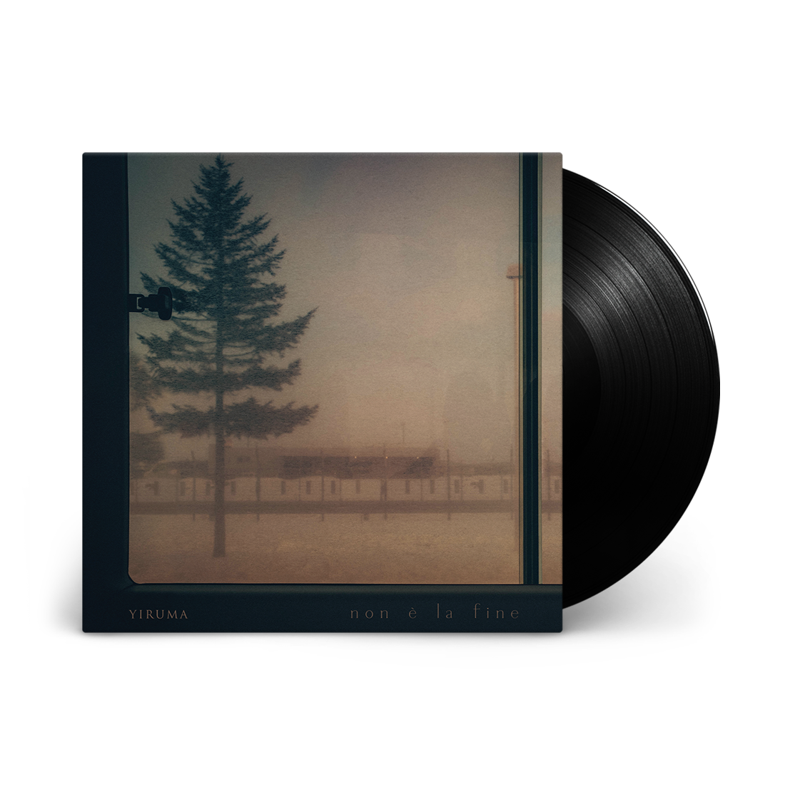 Non è la fine : Vinyl LP
