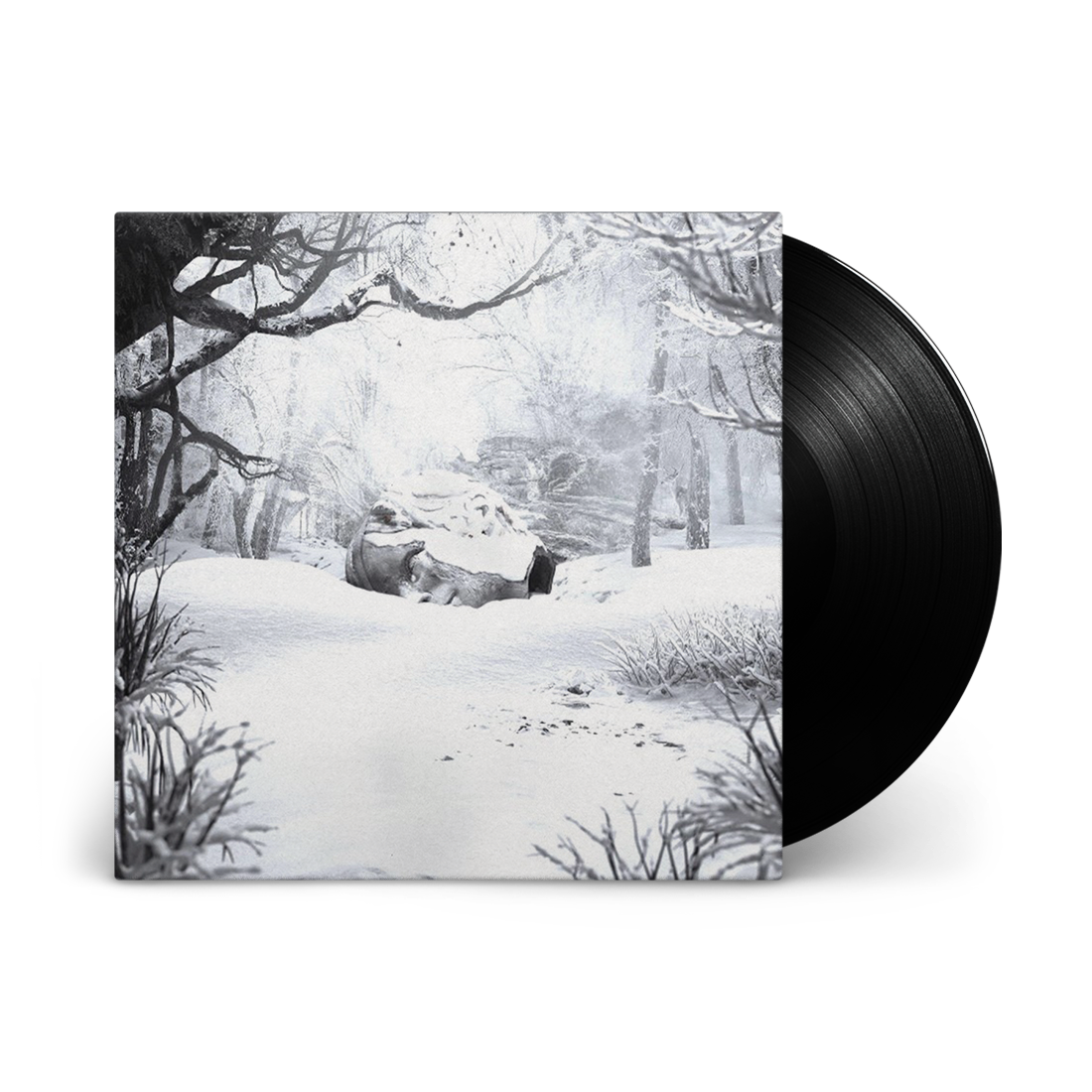 SZNZ: Winter: Vinyl LP