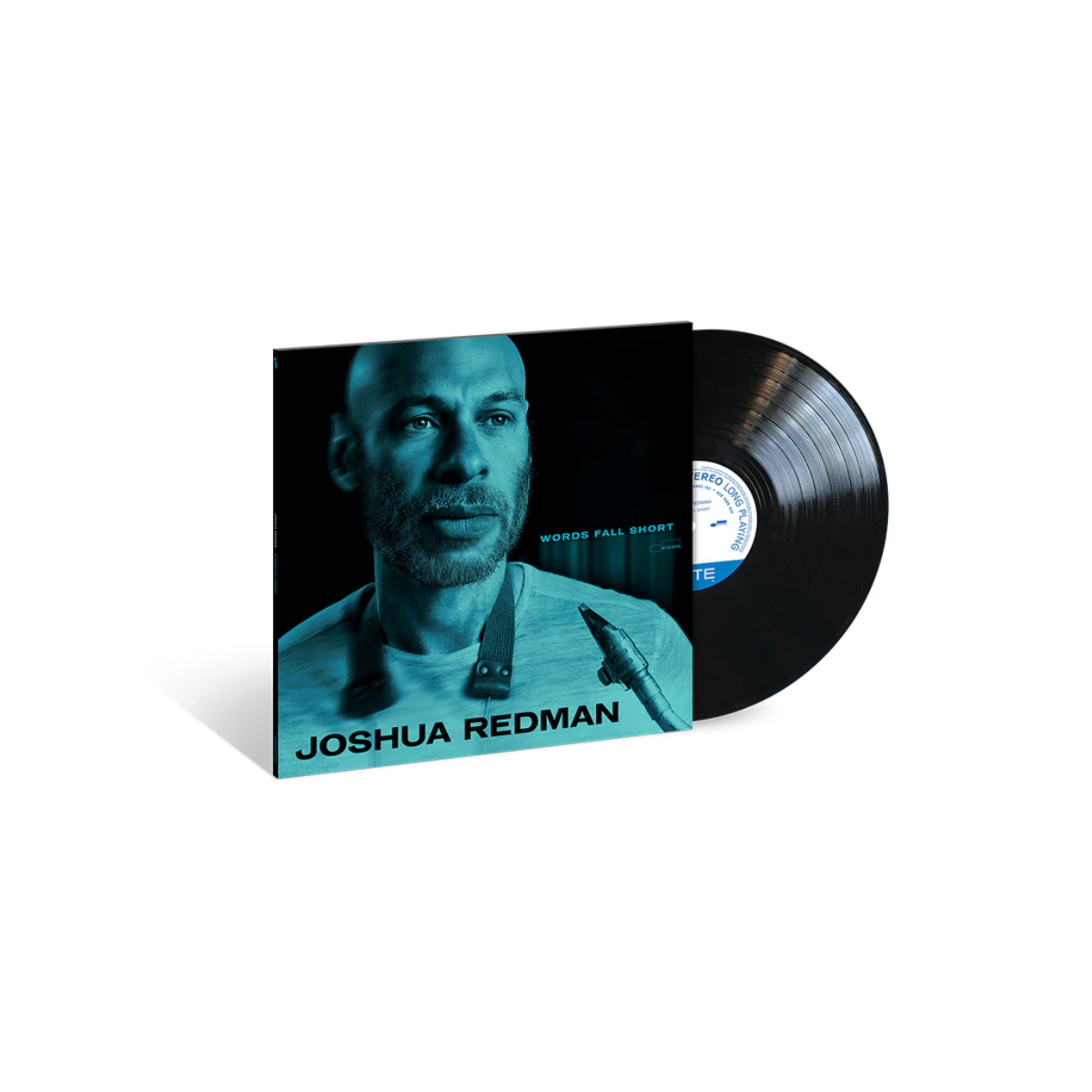 Words Fall Short - Vinyl