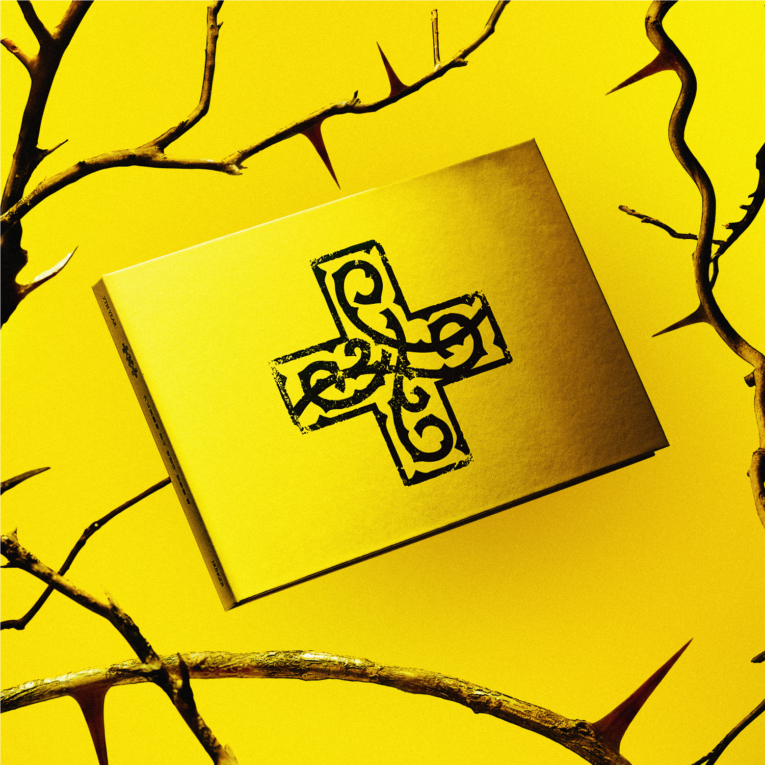 7TH YEAR: A Moment of Stillness in the Thorns (Yellow): CD Album